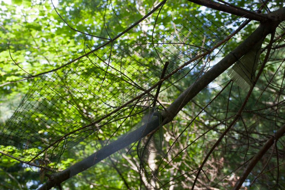 tree-house-first-fav-meshes-1000px